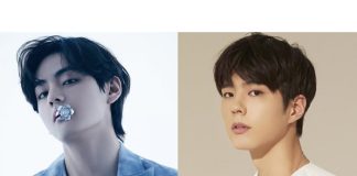 v bts dan park bo gum