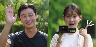 iu dan park seo joon
