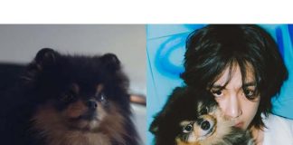yeontan dan v bts dan versi pengganti