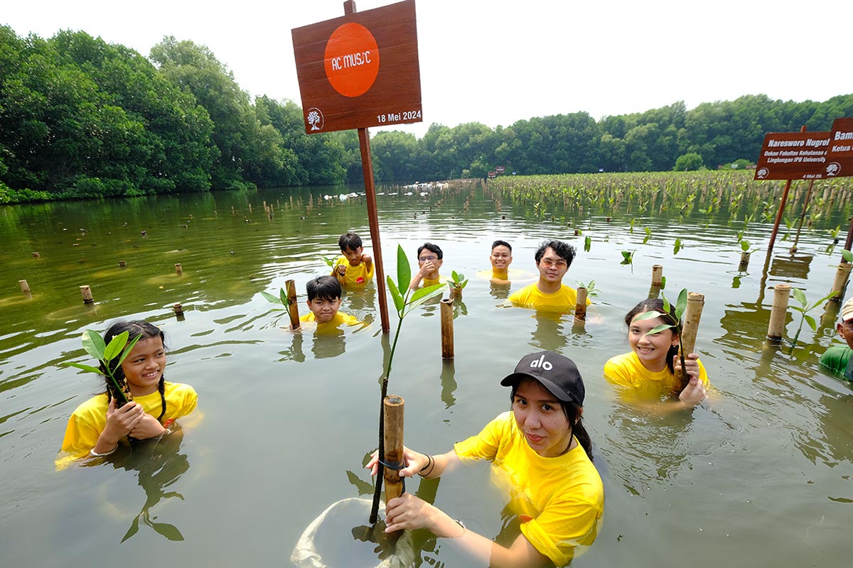 Arsha Composer bersama anak didiknya menanam mangrove di Taman Wisata Alam Mangrove Muara Angke