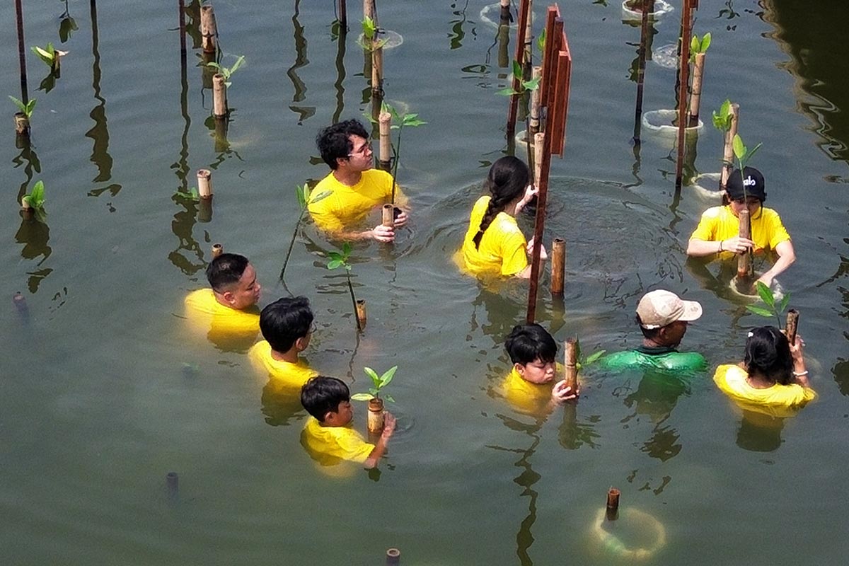 Arsha Composer bersama anak didiknya menanam mangrove di Taman Wisata Alam Mangrove Muara Angke