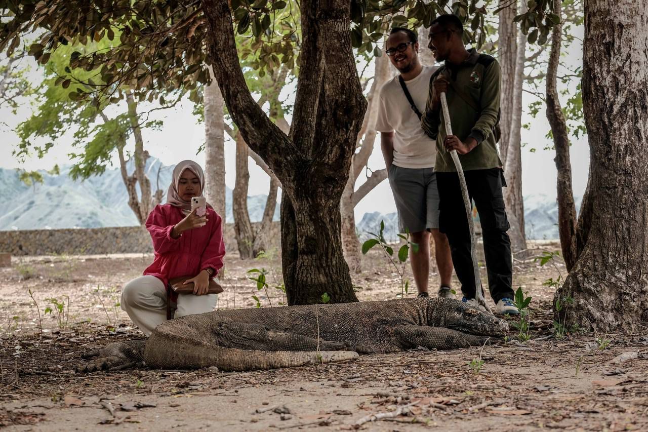 penyelenggaraan komodo travel mart ke 5 ini akan sangat membantu dalam pengembangan labuan bajo