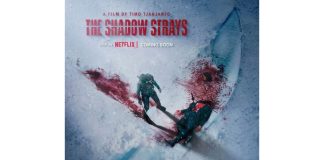 the shadow strays