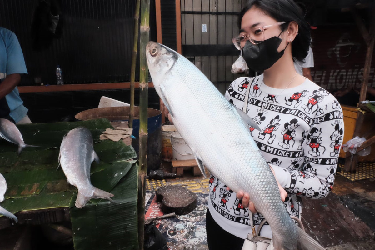 bandeng ukuran jumbo di festival bandeng rawa belong