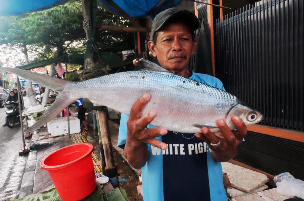 Menengok Tradisi Menyiapkan Ikan Bandeng di Rawa Belong  Jelang Tahun Baru Imlek 2025