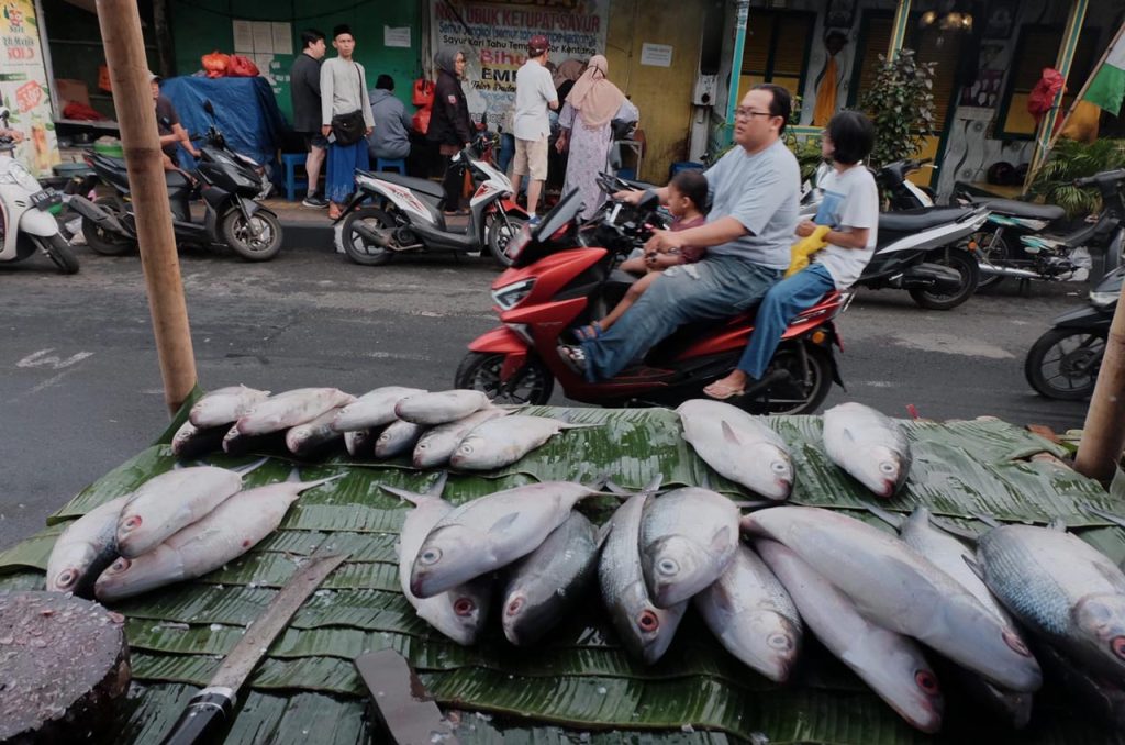 Menengok Tradisi Menyiapkan Ikan Bandeng di Rawa Belong Jelang Tahun Baru Imlek 2025