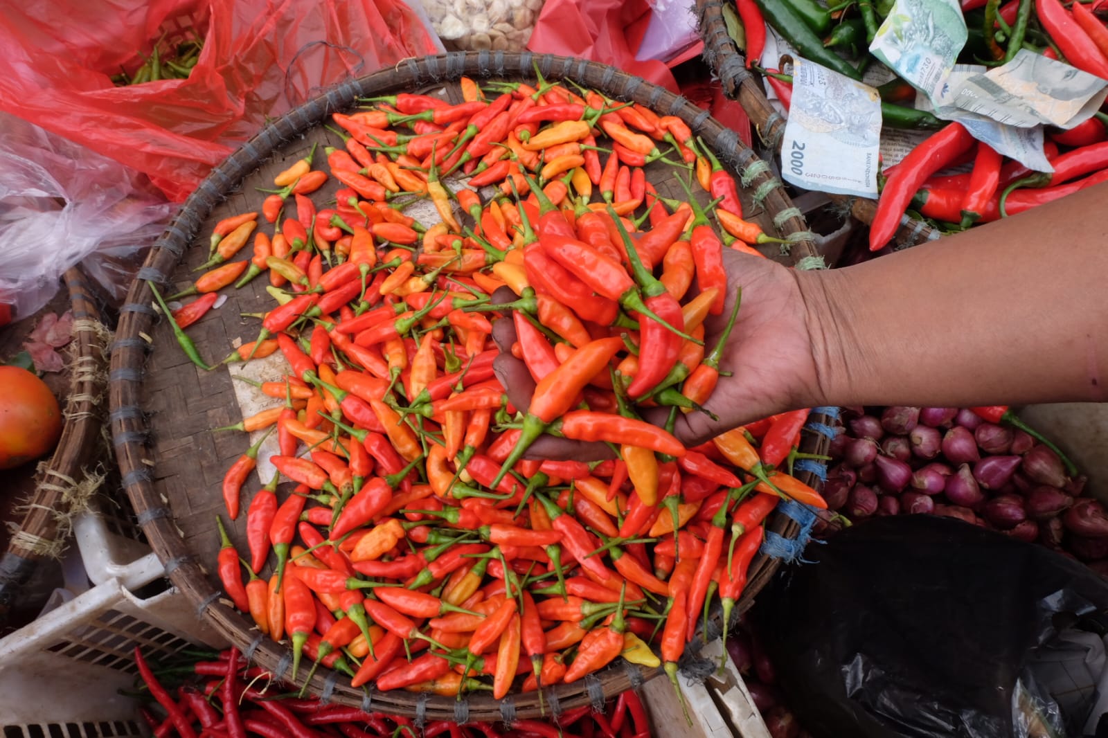 harga cabe rawit yang ikut melnjak