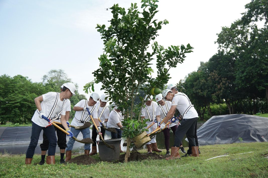 mengolah sampah makanan menggunakan teknologi biokonversi dengan maggot black soldier fly