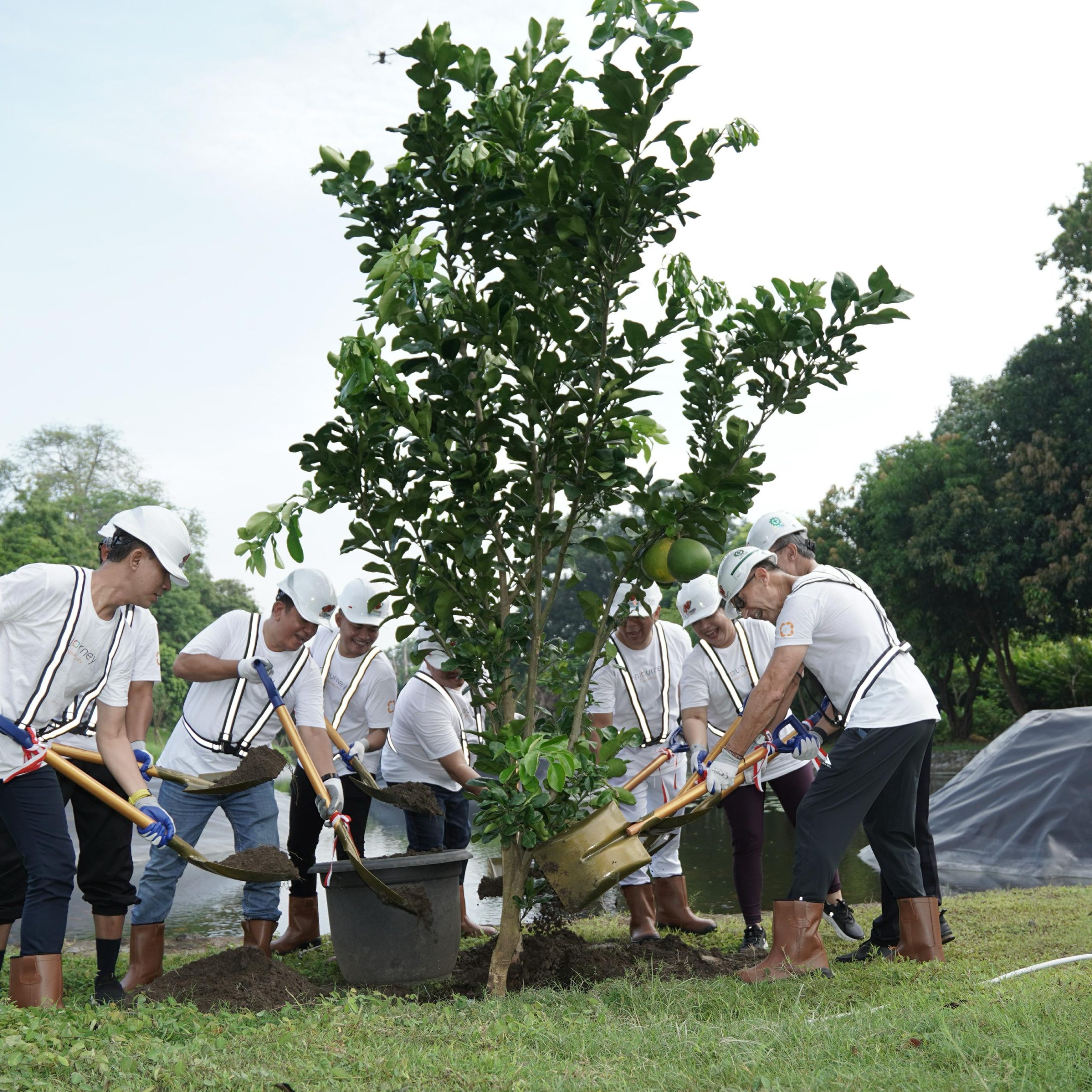 mengolah sampah makanan menggunakan teknologi biokonversi dengan maggot black soldier fly