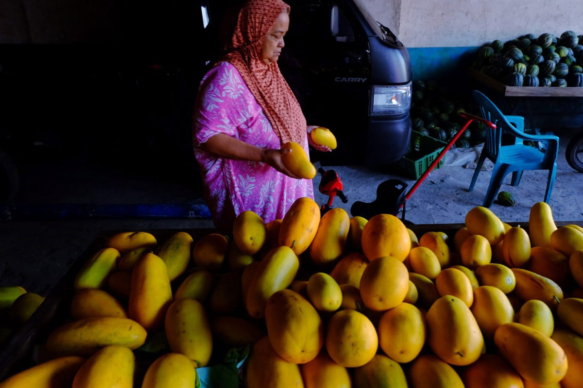 timun suri selalu muncul di bulan ramadan