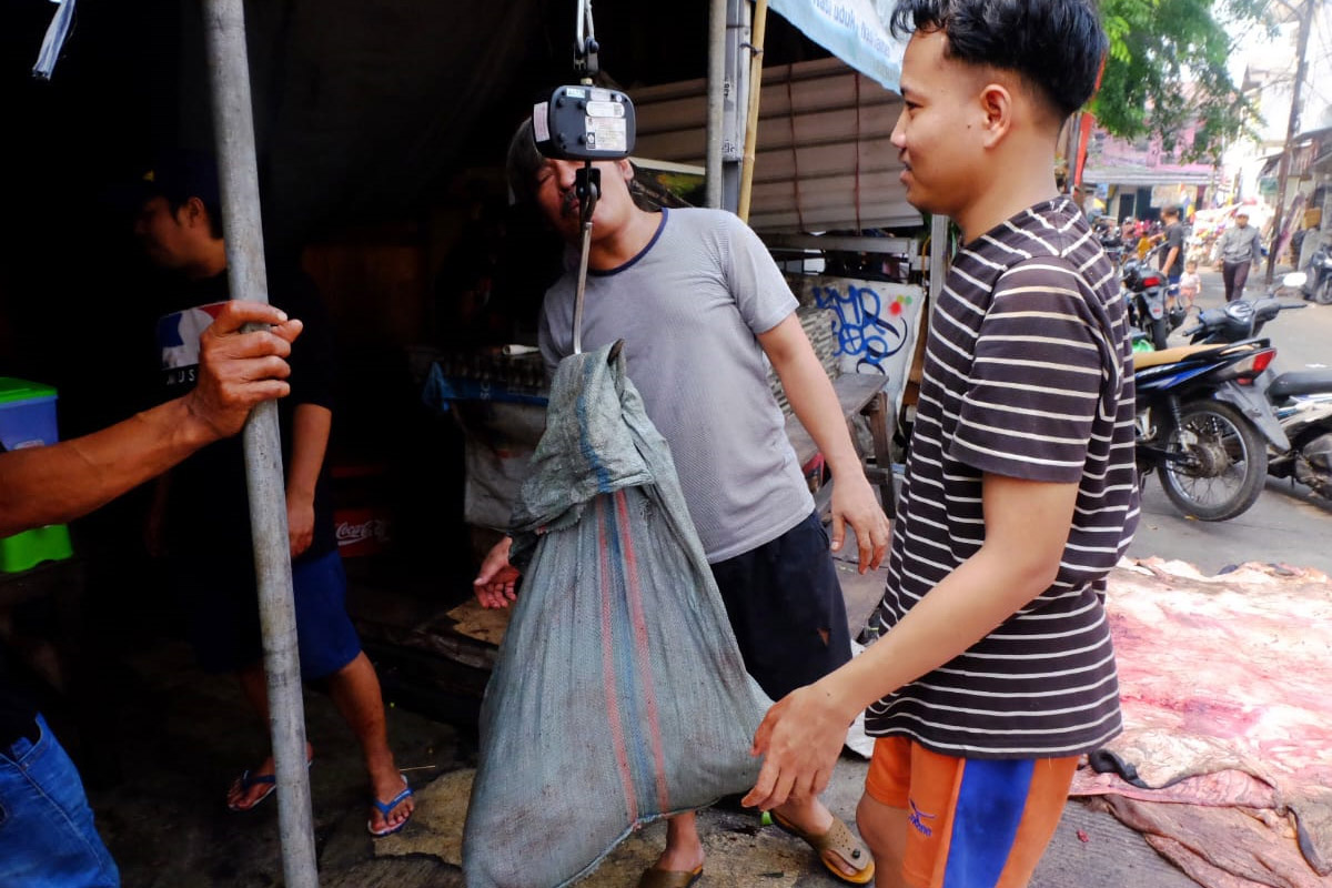 ditimbang untuk diolah lebib bermanfaat