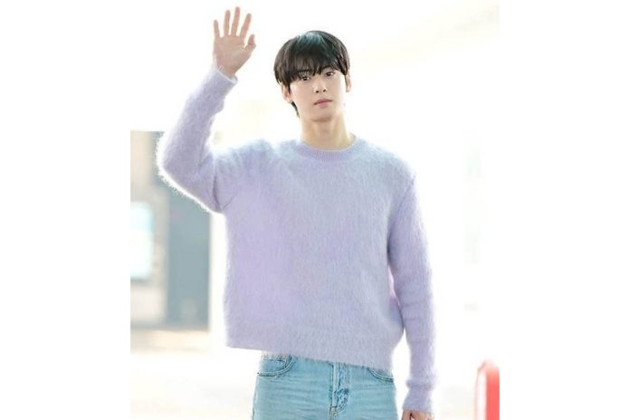 cha eun woo