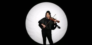penyanyi, pemain biola, vocal coach, aktor teater musikal, dan dosen