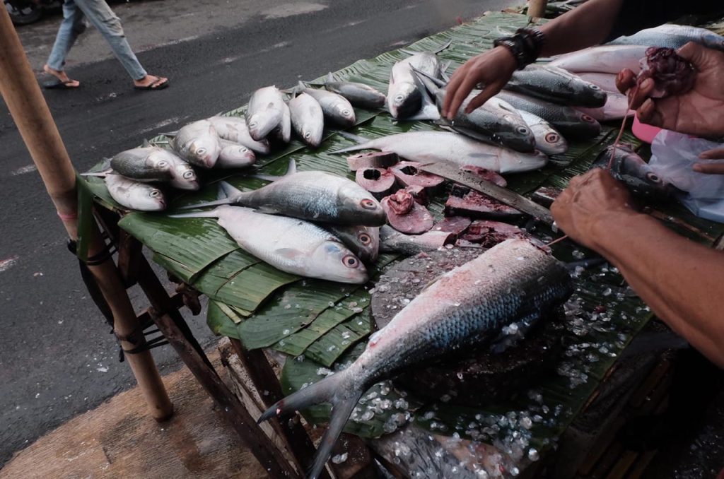 festival bandeng rawa belong 2026 02