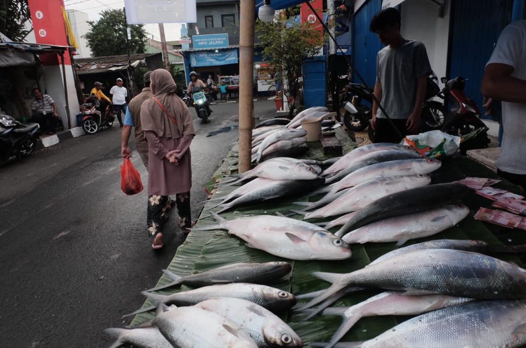 festival bandeng rawa belong 2026 03