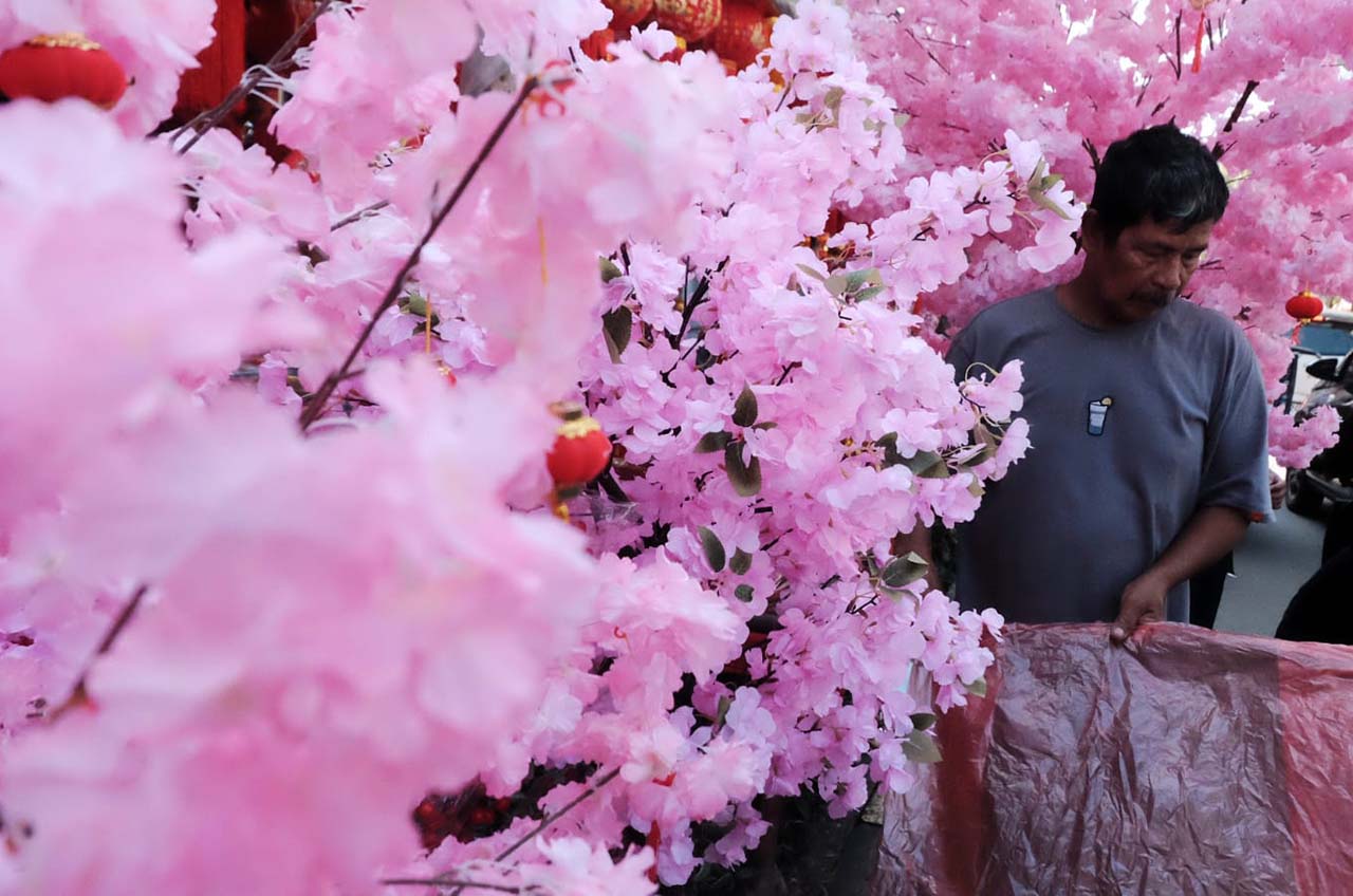 menyambut imlek penjualan pohon mei hua meningkat 01