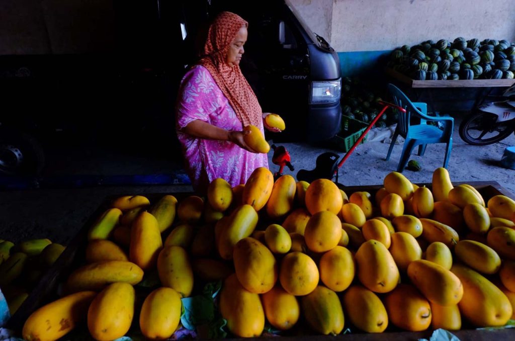 timun suri, buah favorit berbuka yang diburu saat ramadhan 1447 h 04