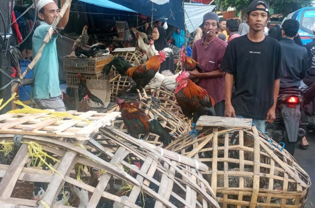 Ayam Kampung Diserbu Pembeli di Pasar Palmerah