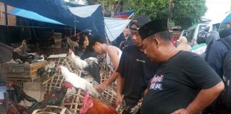Ayam Kampung Diserbu Pembeli di Pasar Palmerah