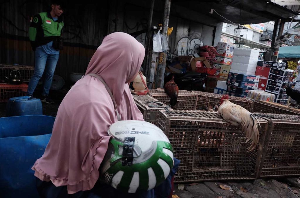 perantau klaten pulang kampung naik truk dari jakarta 03