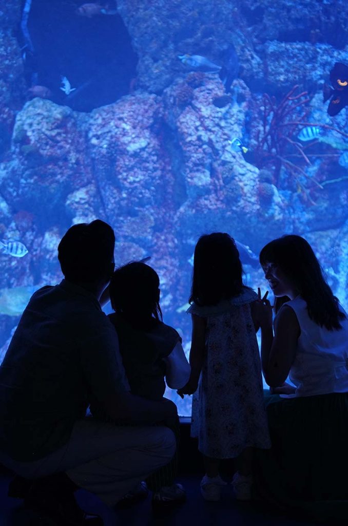 Jakarta AQuarium & Safari