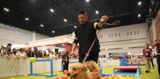 Jakarta International Pet Show (JIPS) 2026