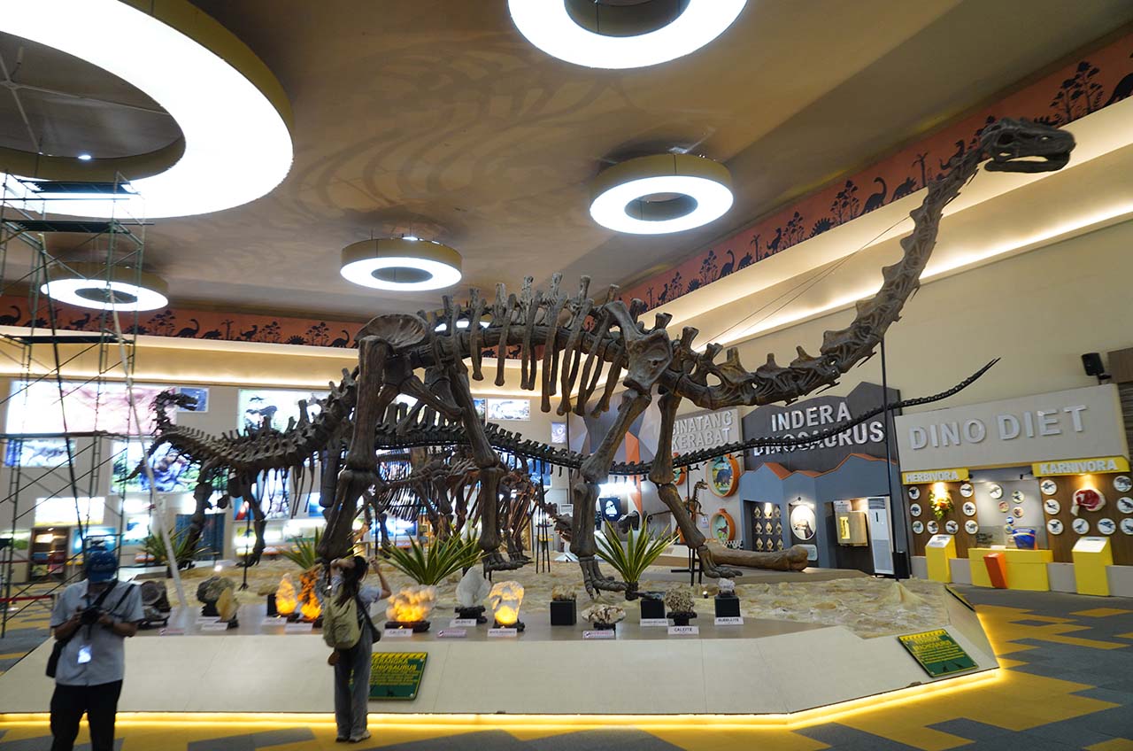 Dino Park